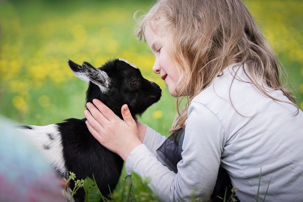 Ein Mädchen sitzt im Gras und streichelt eine schwarze und weiße Ziege.