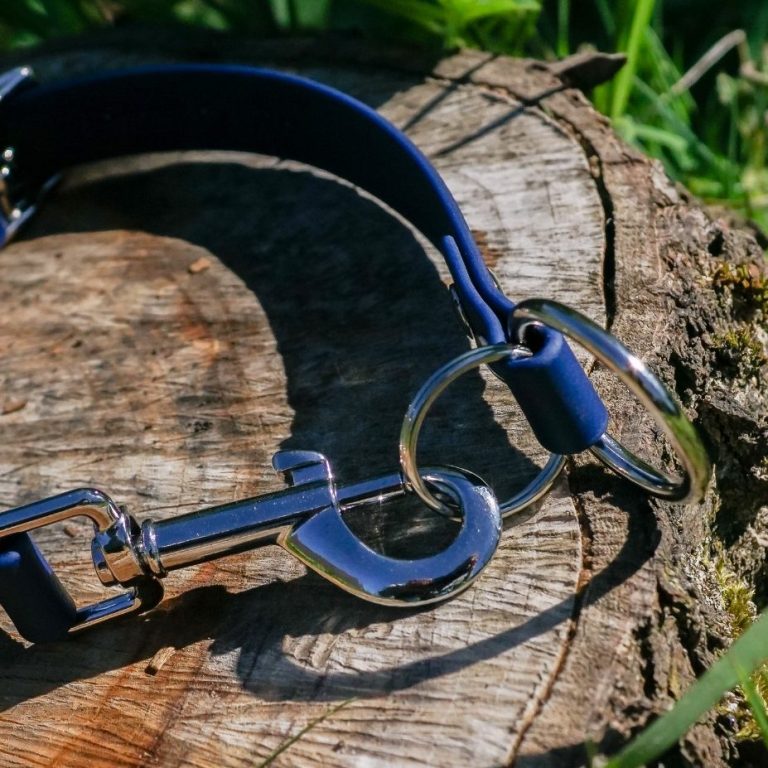 Zwergziege Ziege mit schwarzem und weißem Fell, aufrecht stehend und neugierig blickend.