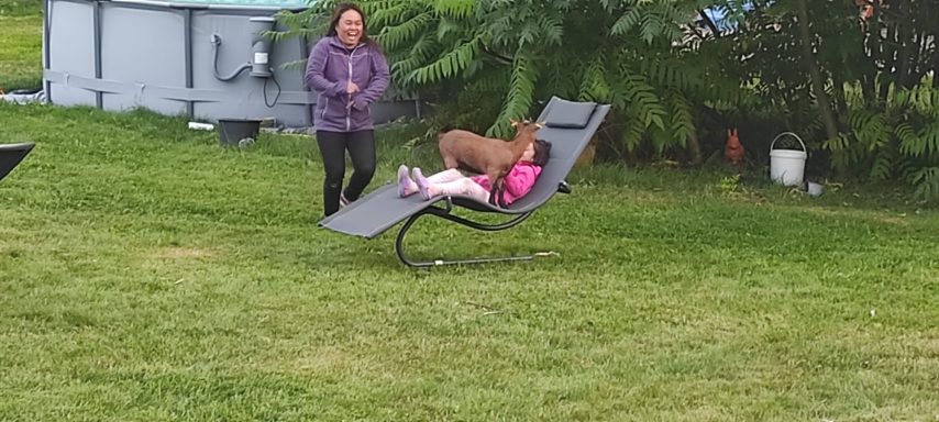 Frau steht auf einer Wiese neben einer Liege, auf der ein Hund und ein Kind sitzen.