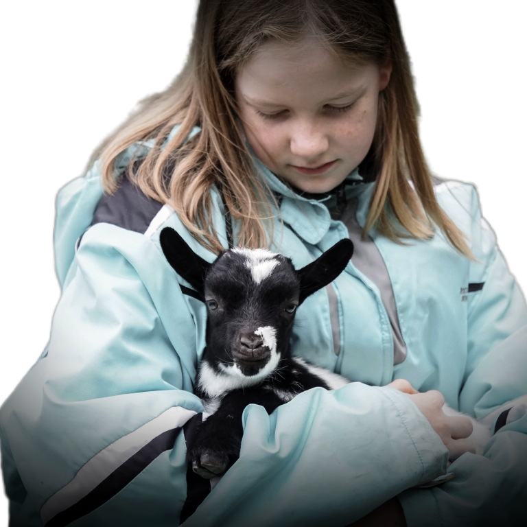Mädchen in blauem Anorak hält ein schwarzes Zicklein in den Armen.